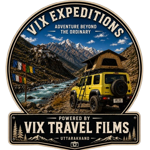 vix logo removebg preview